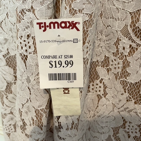 Sans Souci Lace Dress - Picture 3 of 3